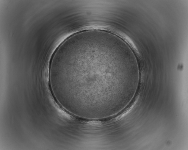 X0000100370844200806061154