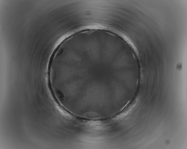 X0000100370845200806061154