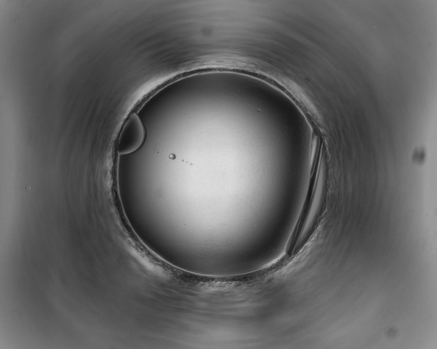 X0000100370846200806061154