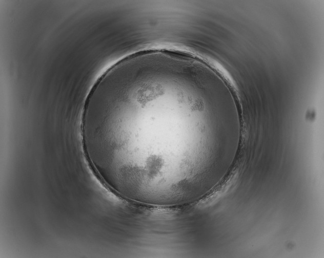X0000100370847200806061154
