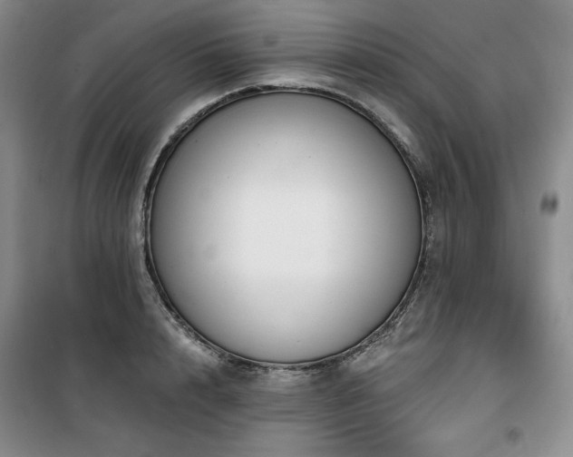 X0000100370848200806061154