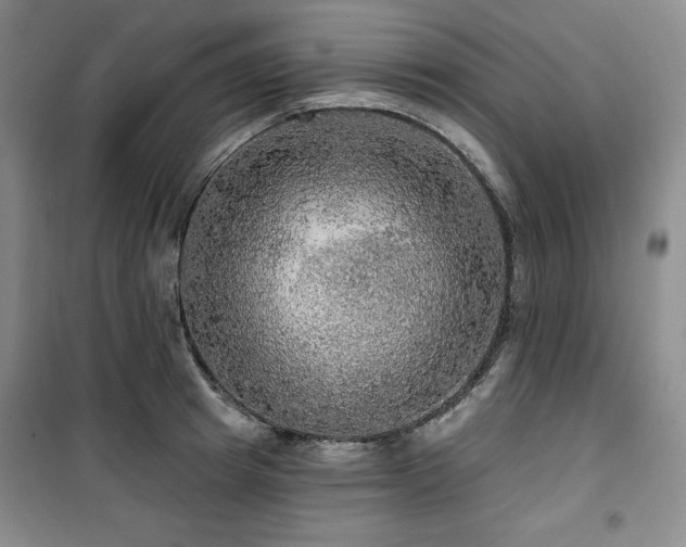 X0000100370849200806061154