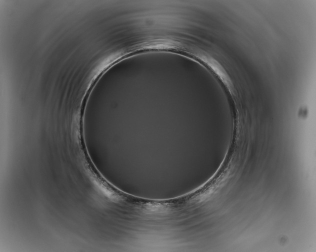X0000100370850200806061154
