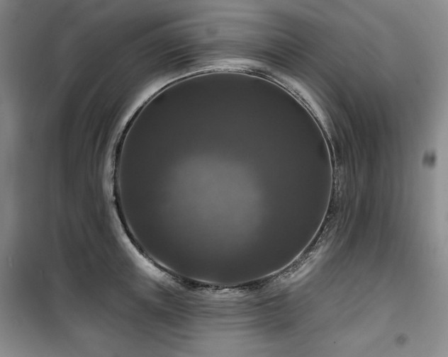 X0000100370851200806061154