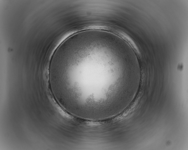 X0000100370852200806061154