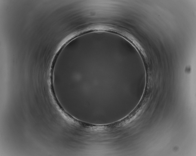 X0000100370853200806061154
