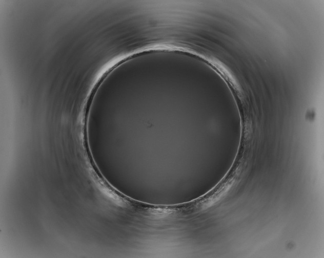 X0000100370854200806061154