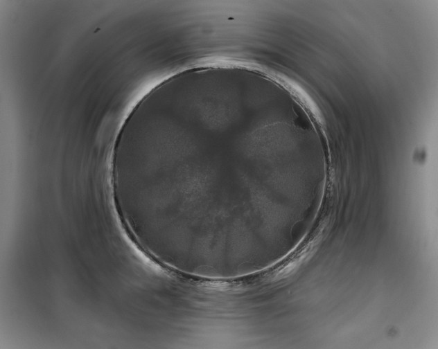 X0000100370855200806061154