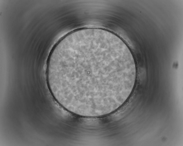 X0000100370856200806061154