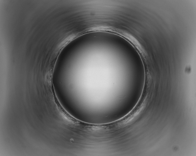 X0000100370857200806061154