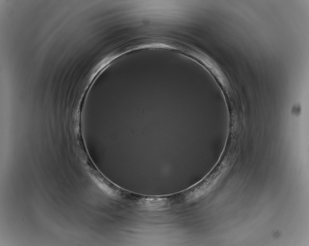 X0000100370858200806061154