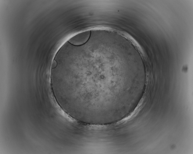 X0000100370860200806061154