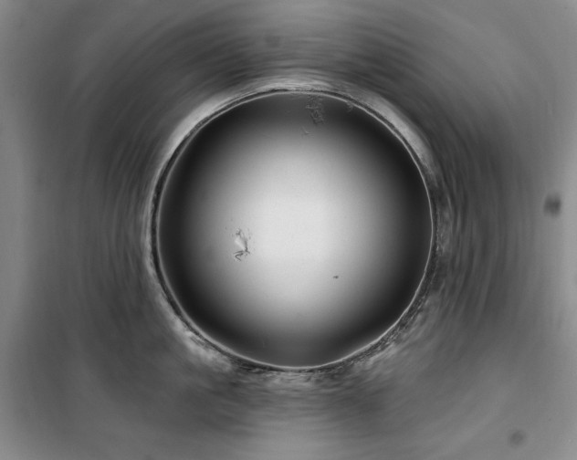 X0000100370861200806061154