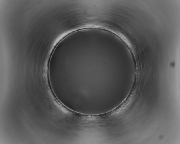 X0000100370862200806061154