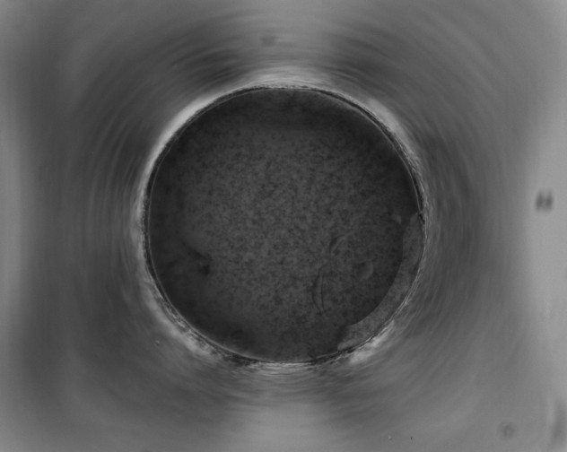 X0000100370864200806061154