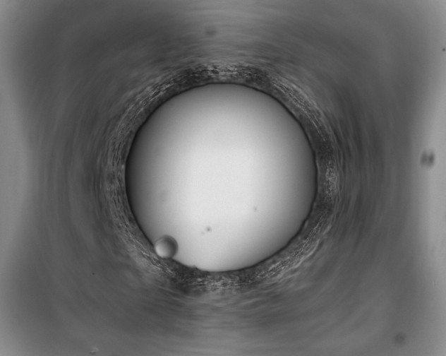 X0000100370865200806061153