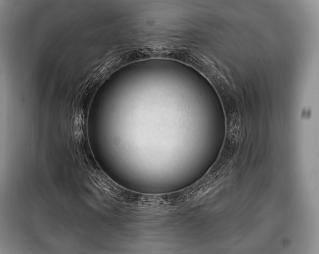 X0000100370866200806061153