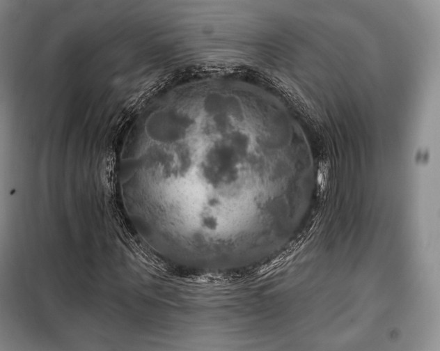 X0000100370867200806061153