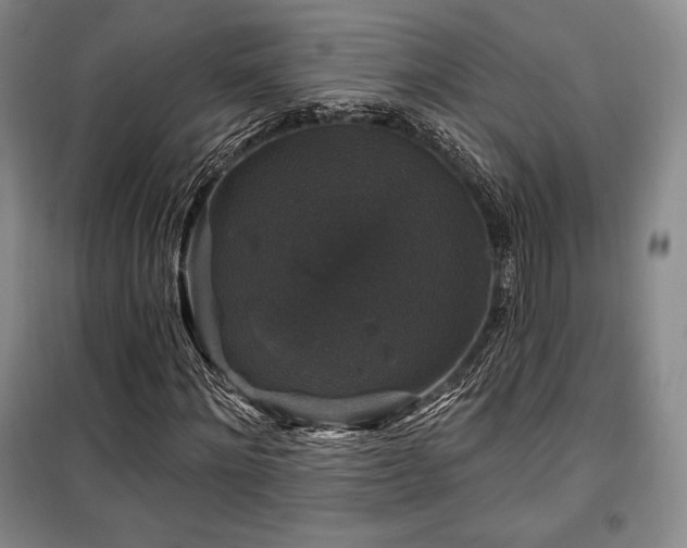 X0000100370868200806061153