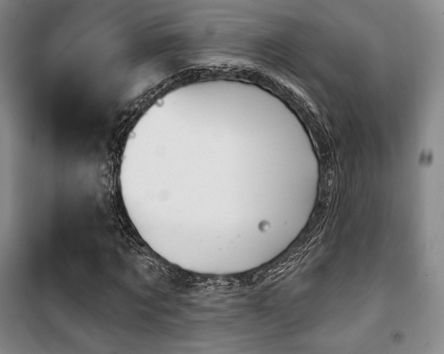 X0000100370869200806061153