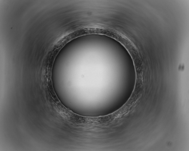 X0000100370870200806061153