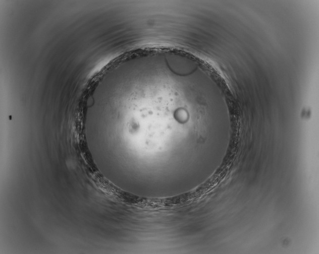 X0000100370871200806061153