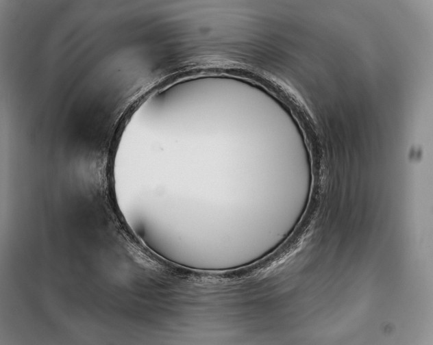 X0000100370873200806061153