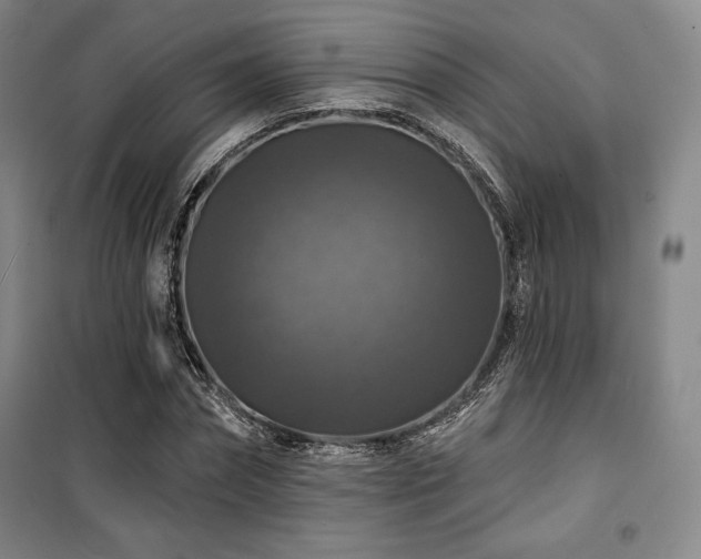 X0000100370874200806061153