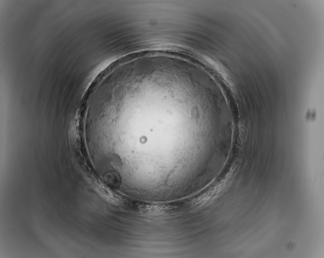 X0000100370875200806061153
