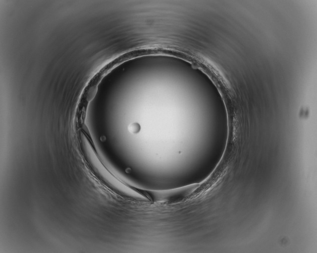 X0000100370876200806061153