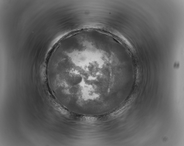 X0000100370878200806061153