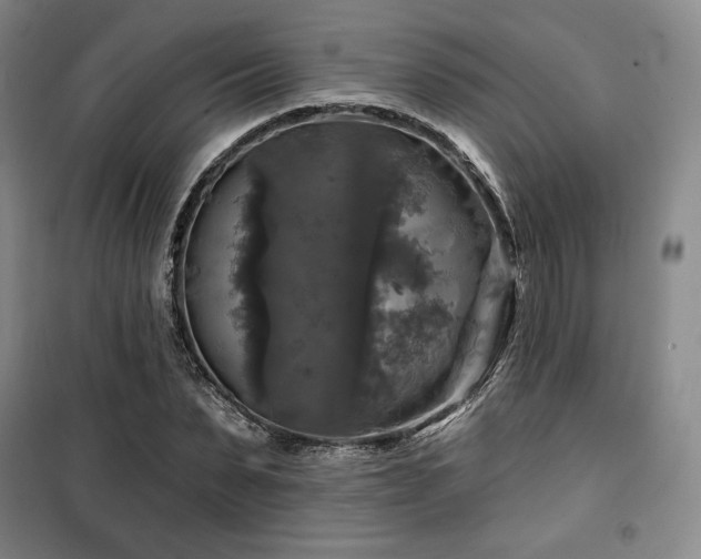 X0000100370879200806061153