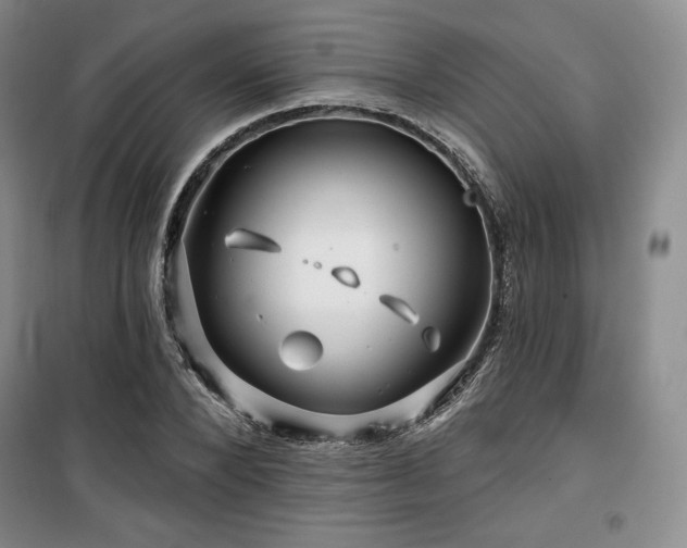 X0000100370880200806061153