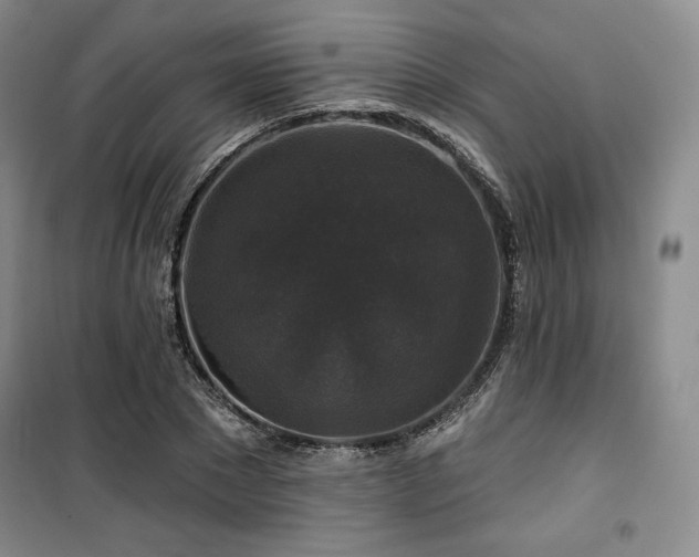 X0000100370881200806061153