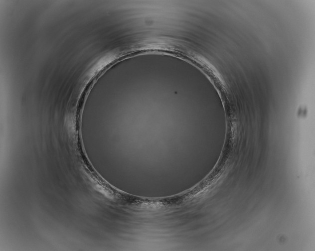 X0000100370882200806061153