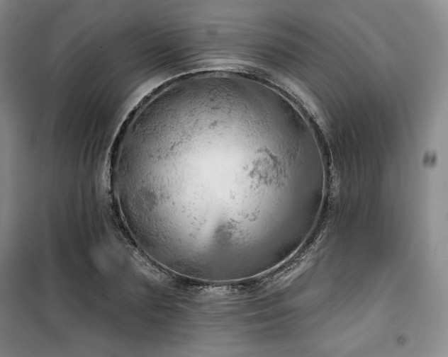 X0000100370883200806061153