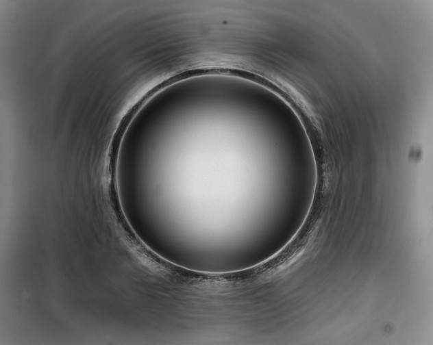 X0000100370885200806061153