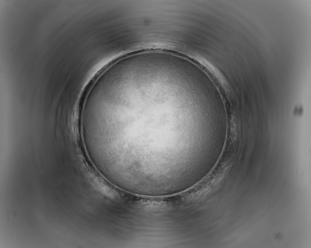 X0000100370886200806061153