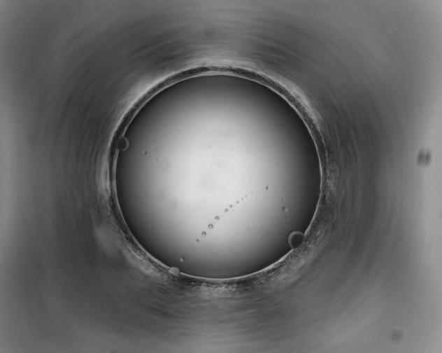 X0000100370887200806061153
