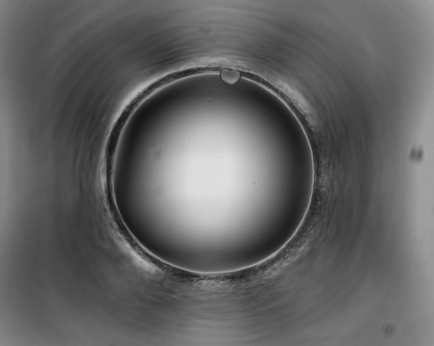 X0000100370888200806061153