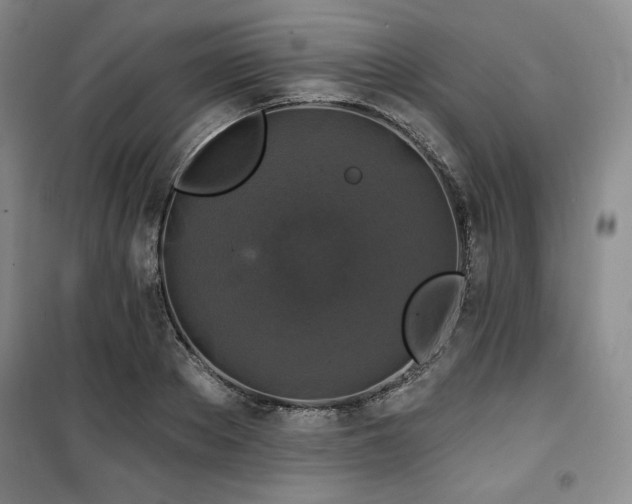X0000100370889200806061153
