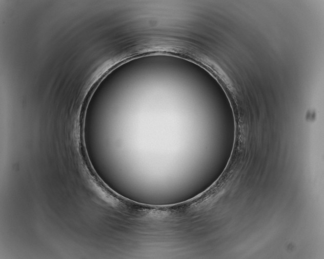 X0000100370890200806061153