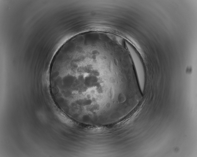 X0000100370891200806061153