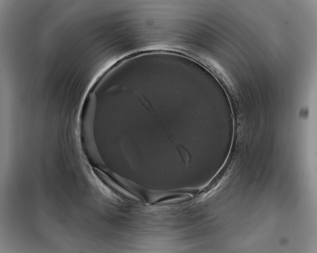 X0000100370892200806061153