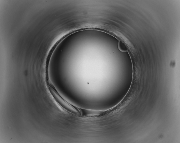 X0000100370894200806061153
