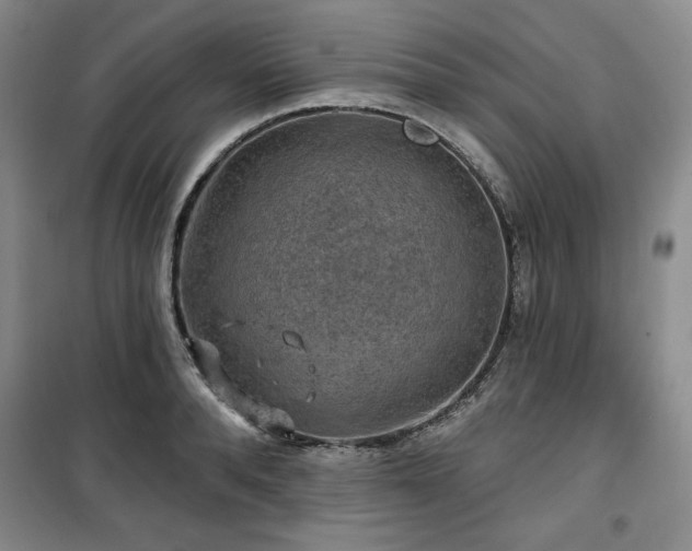 X0000100370896200806061153