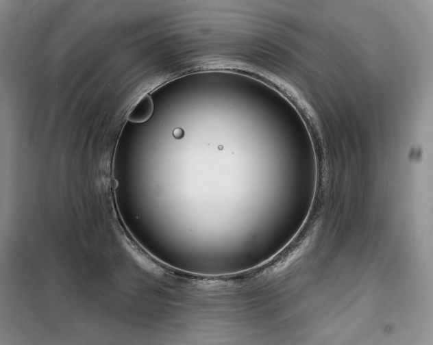 X0000100370897200806061153