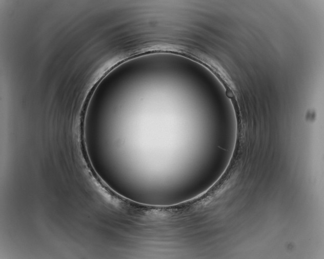 X0000100370898200806061153