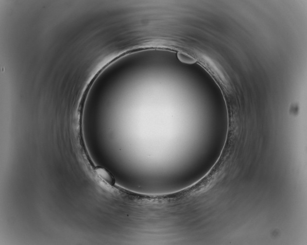 X0000100370900200806061153