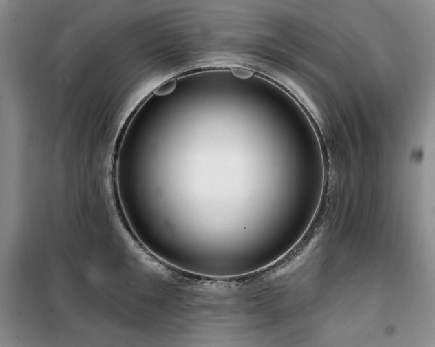 X0000100370901200806061153